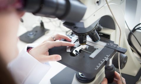 empresas de control de calidad